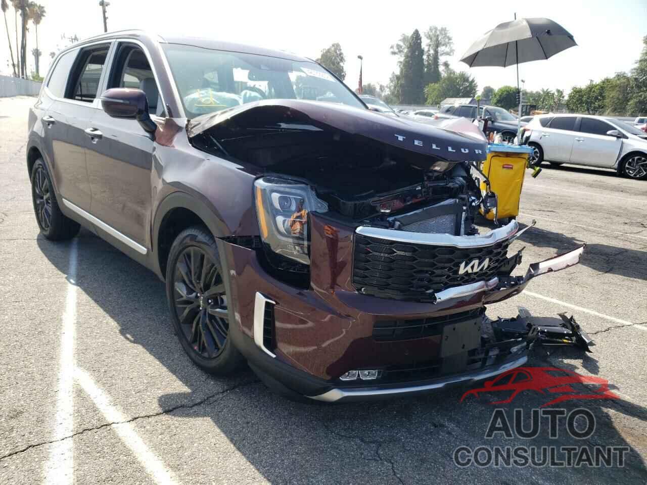 KIA TELLURIDE 2022 - 5XYP54HC3NG257824