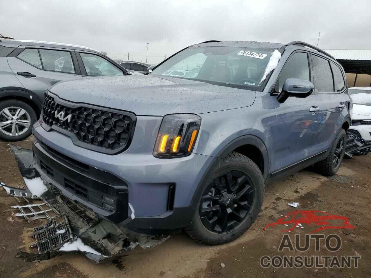 KIA TELLURIDE 2024 - 5XYP5DGC5RG414809