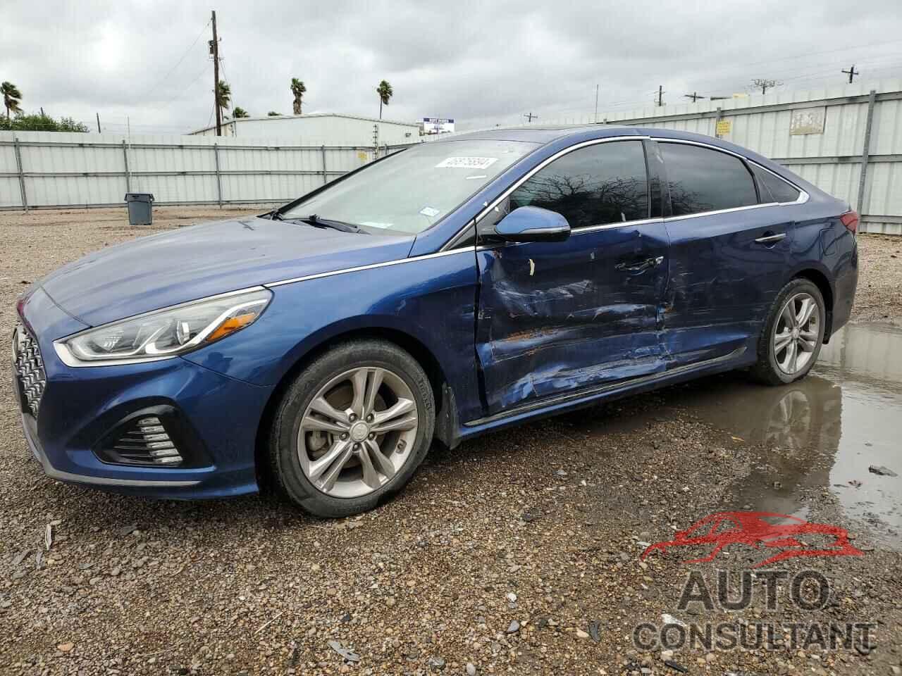 HYUNDAI SONATA 2019 - 5NPE34AF5KH771728