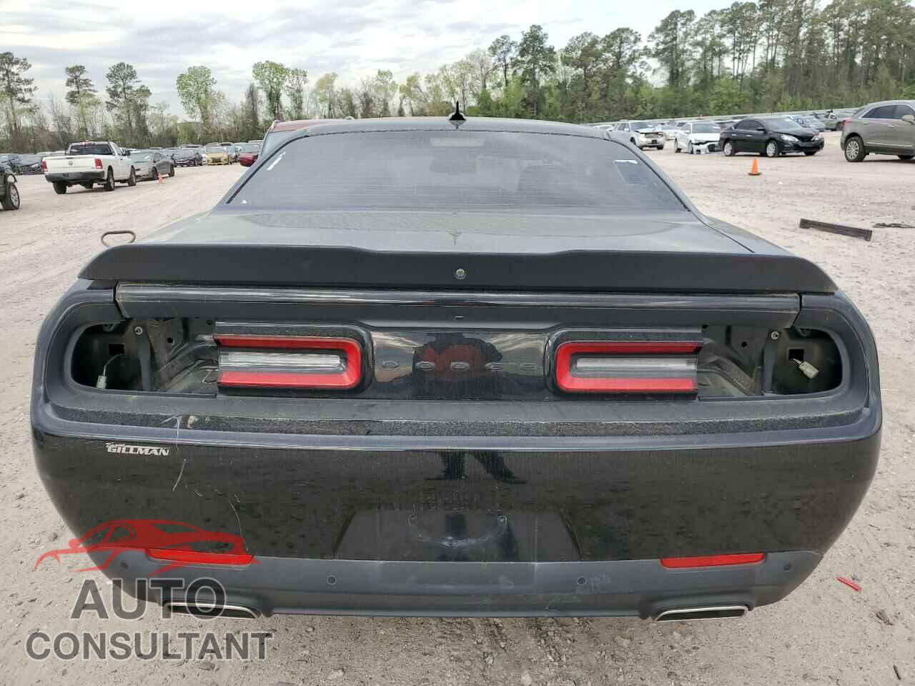 DODGE CHALLENGER 2020 - 2C3CDZAG4LH218738
