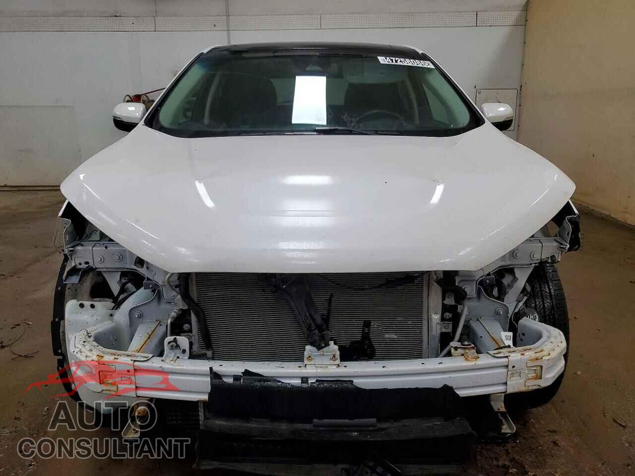 FORD EDGE 2019 - 2FMPK4K90KBB75308