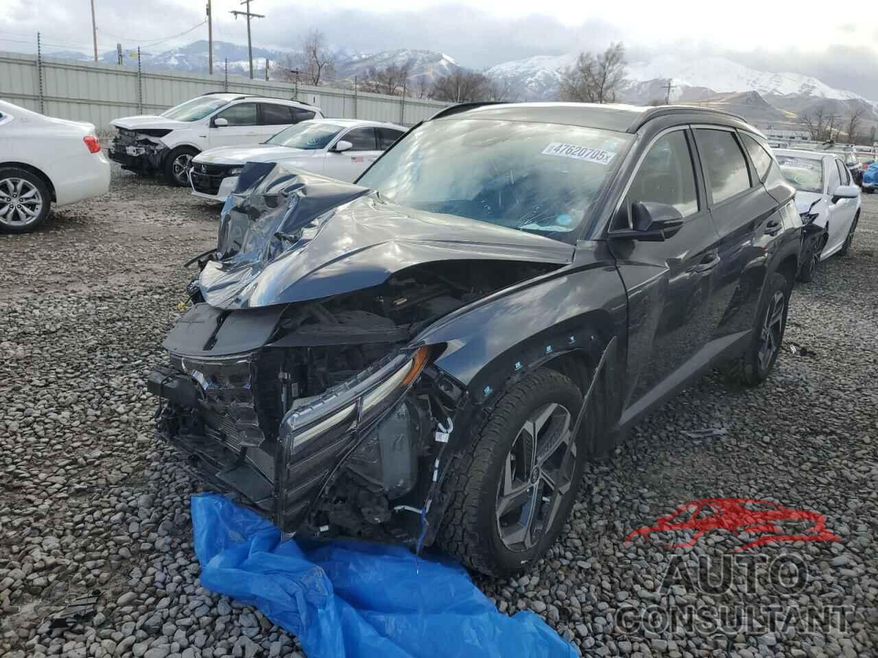 HYUNDAI TUCSON 2022 - 5NMJCCAE2NH118999