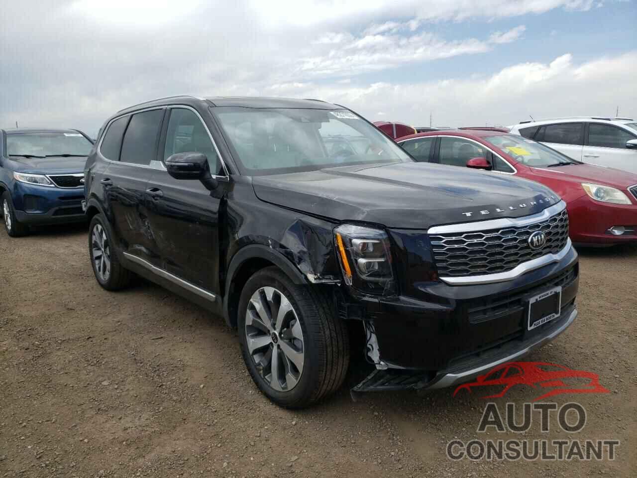 KIA TELLURIDE 2021 - 5XYP3DHC8MG179612