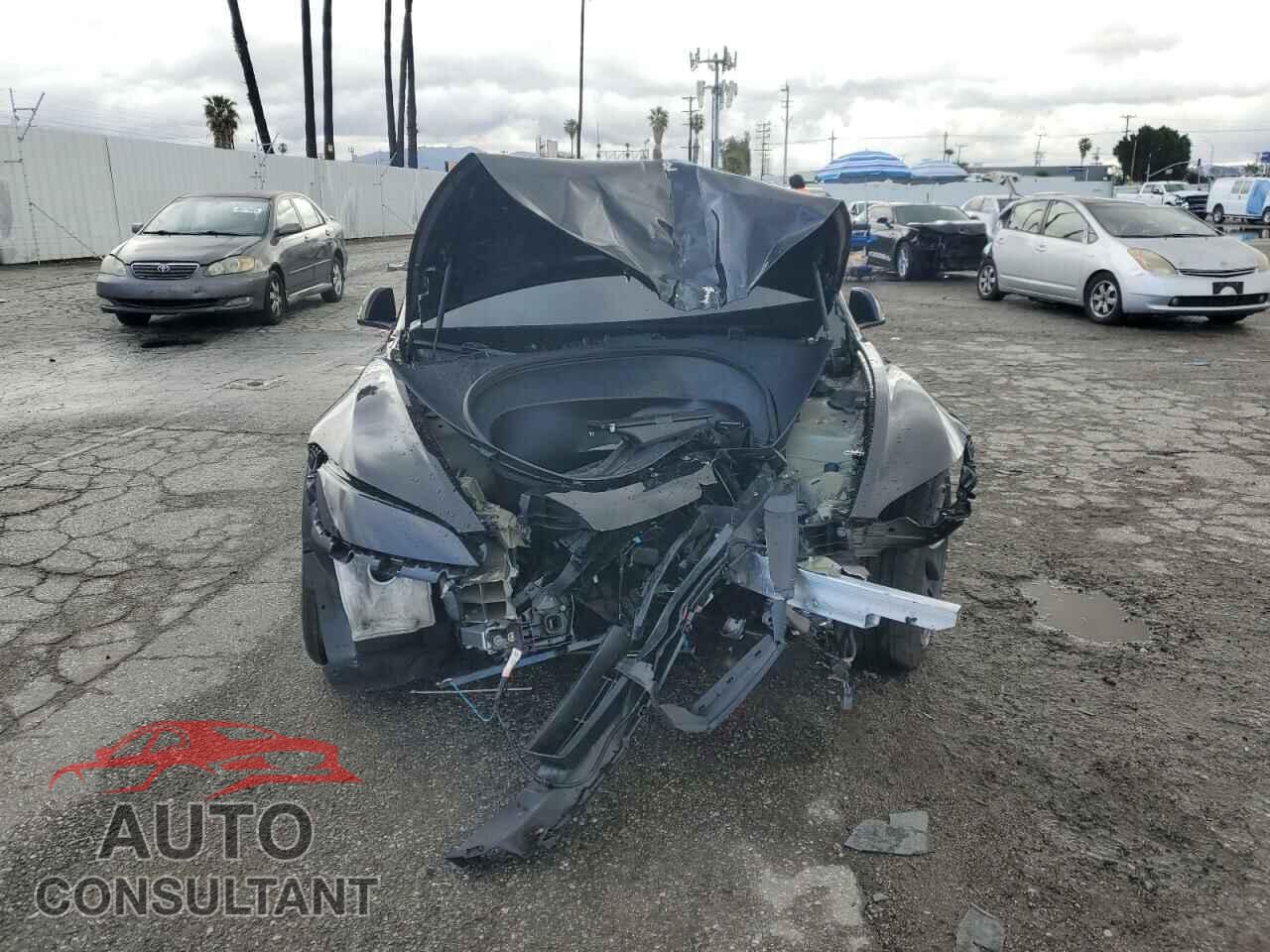 TESLA MODEL 3 2025 - 5YJ3E1EA2SF907679