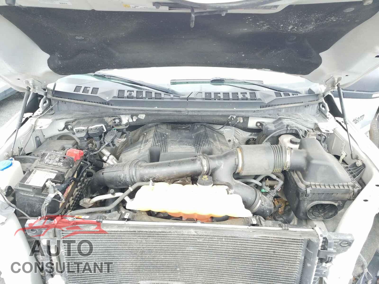 FORD F150 2017 - 1FTEW1EG0HFC52954