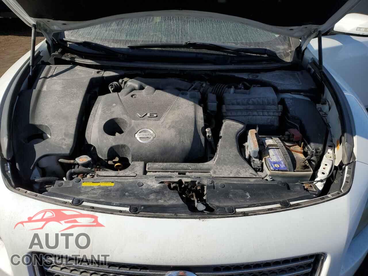 NISSAN MAXIMA 2011 - 1N4AA5AP9BC843518