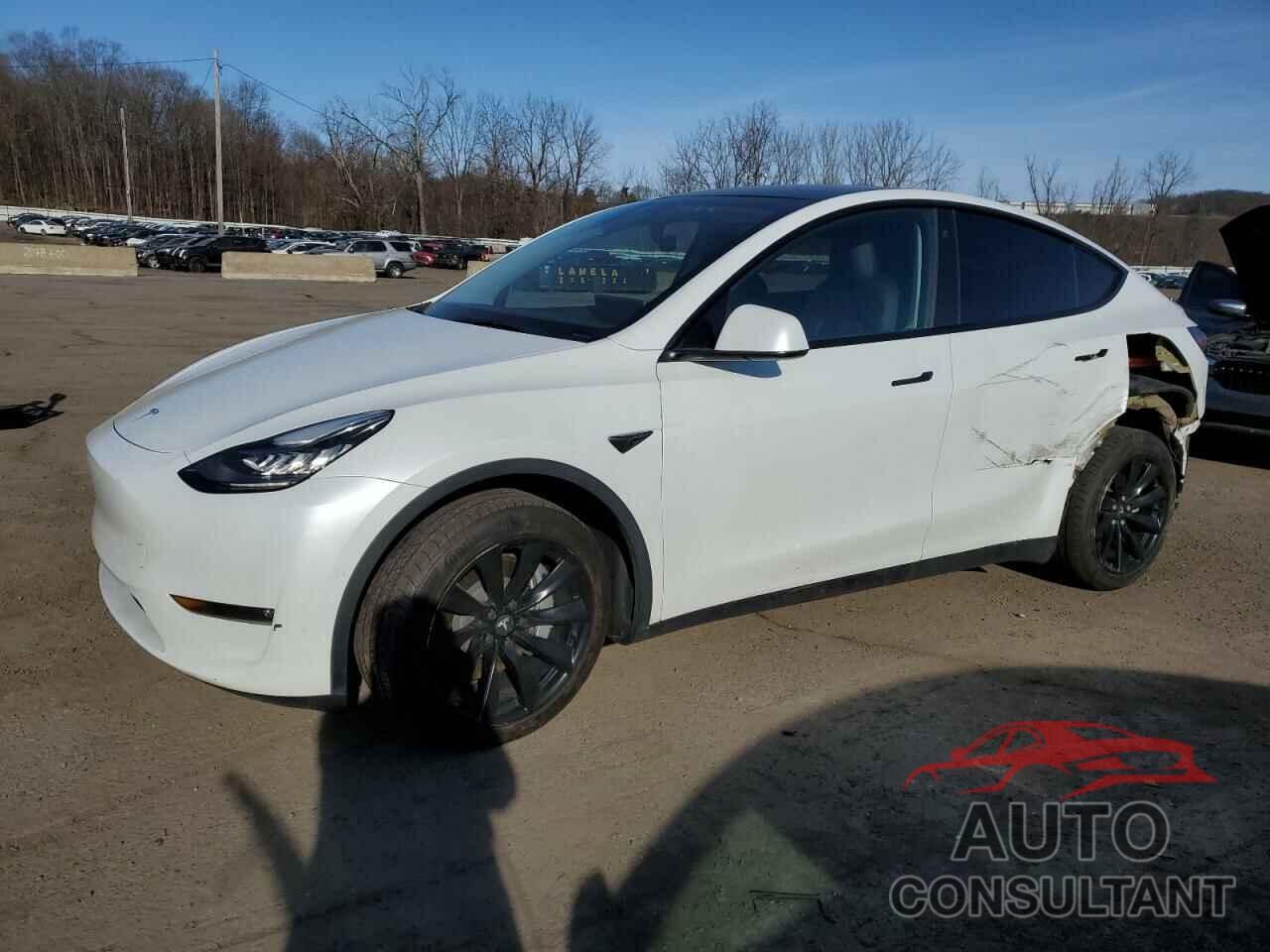 TESLA MODEL Y 2022 - 7SAYGDEE1NF435518