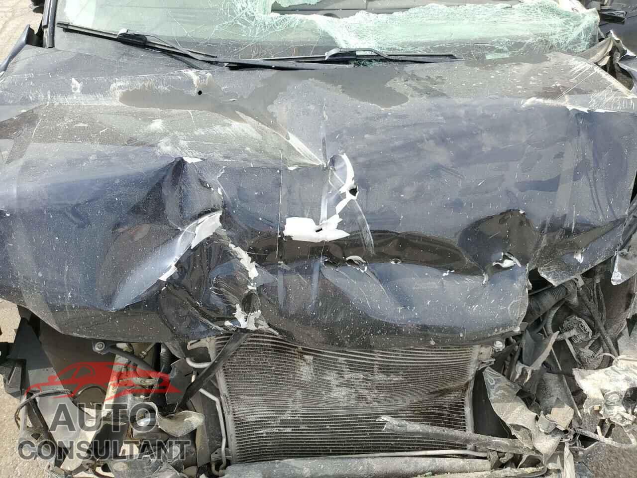 DODGE CARAVAN 2010 - 2D4RN3D18AR455881