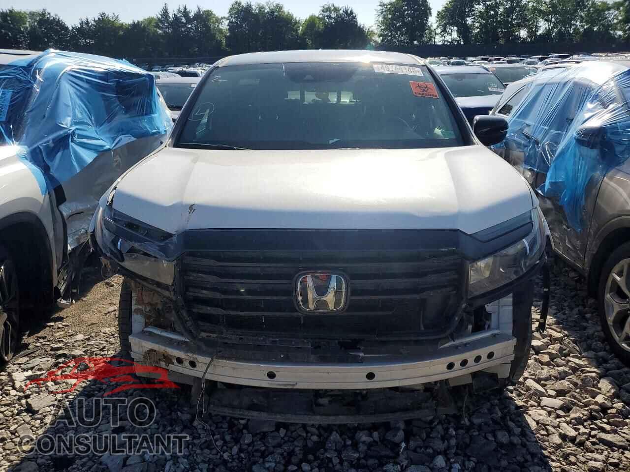 HONDA RIDGELINE 2023 - 5FPYK3F84PB013588