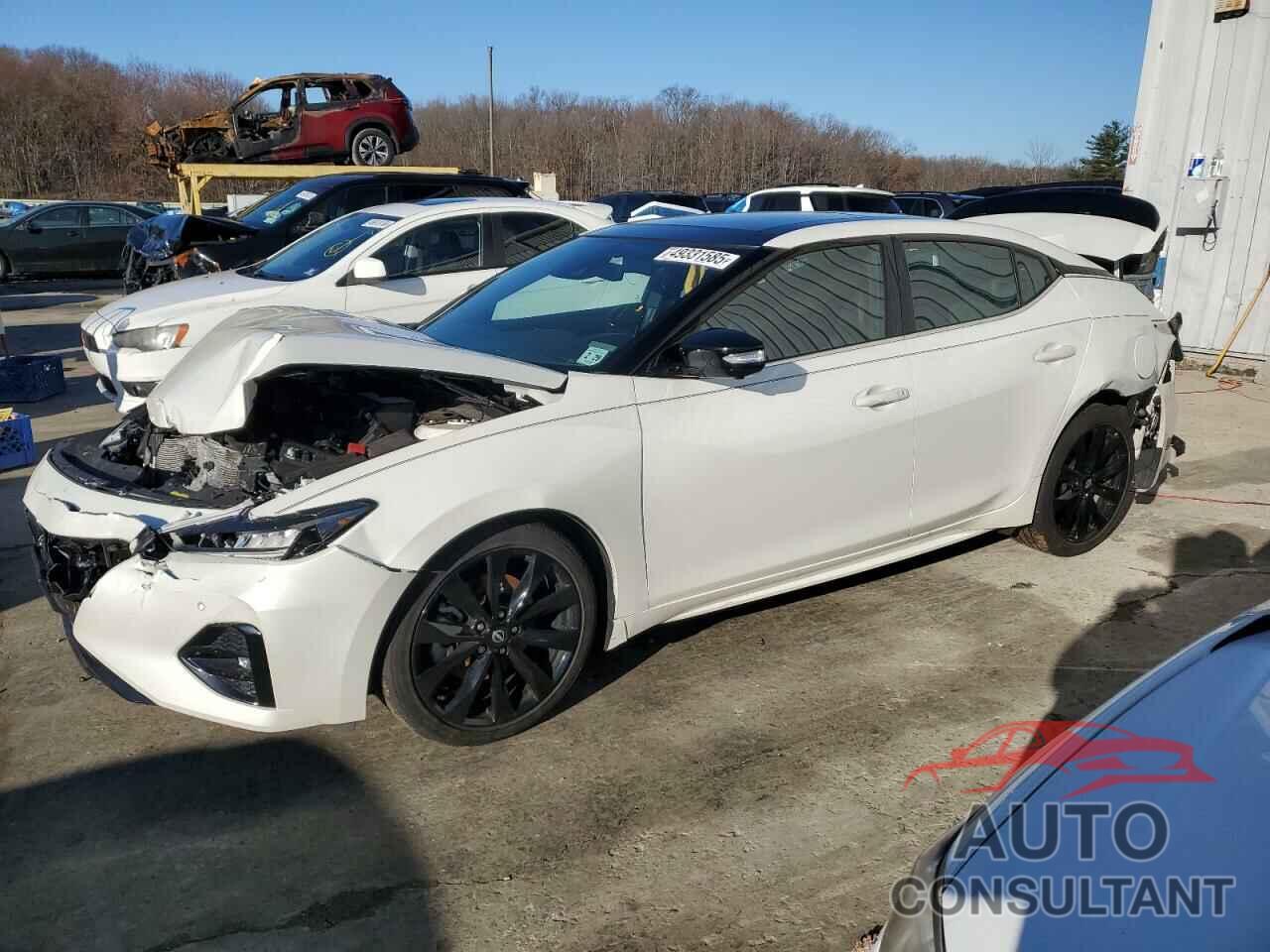 NISSAN MAXIMA 2023 - 1N4AA6EV4PC513923