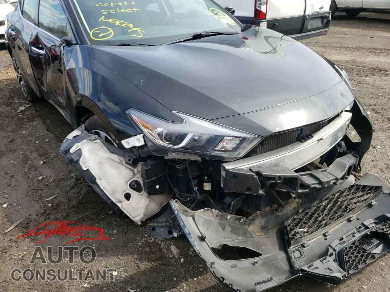 NISSAN MAXIMA 2017 - 1N4AA6AP1HC443287