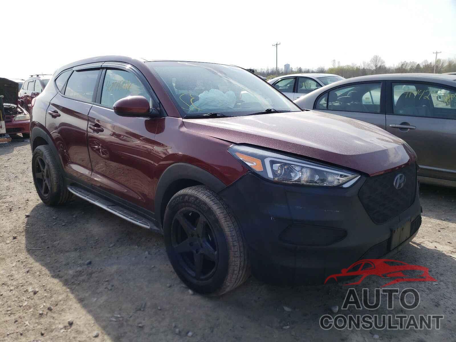 HYUNDAI TUCSON 2020 - KM8J2CA48LU121062