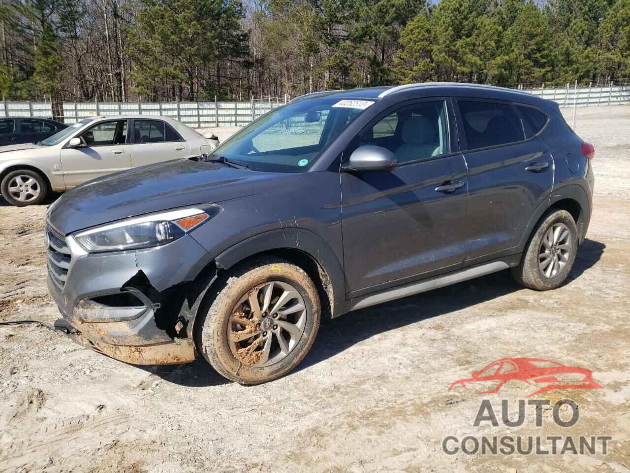 HYUNDAI TUCSON 2017 - KM8J33A42HU496420