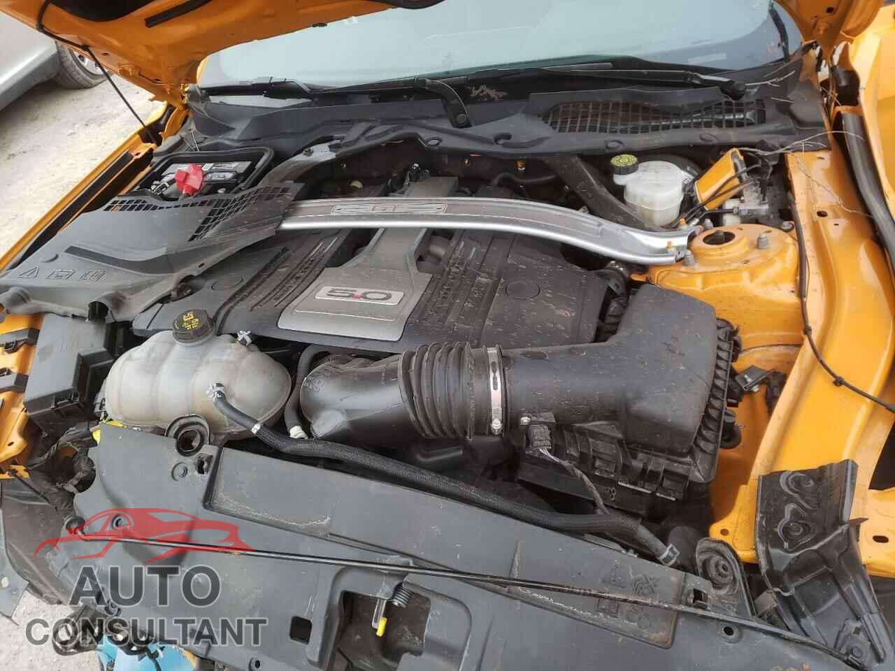 FORD MUSTANG 2019 - 1FA6P8CF3K5148045