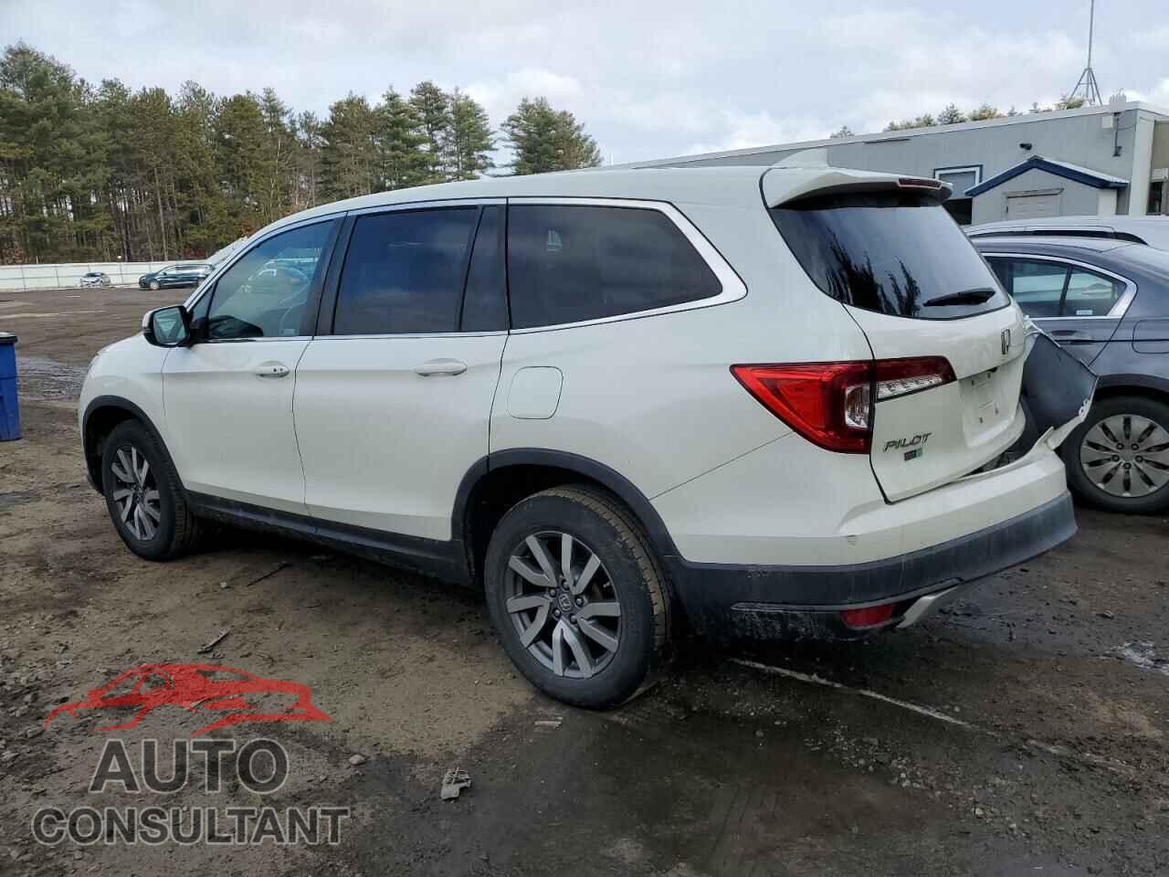 HONDA PILOT 2019 - 5FNYF6H58KB044353