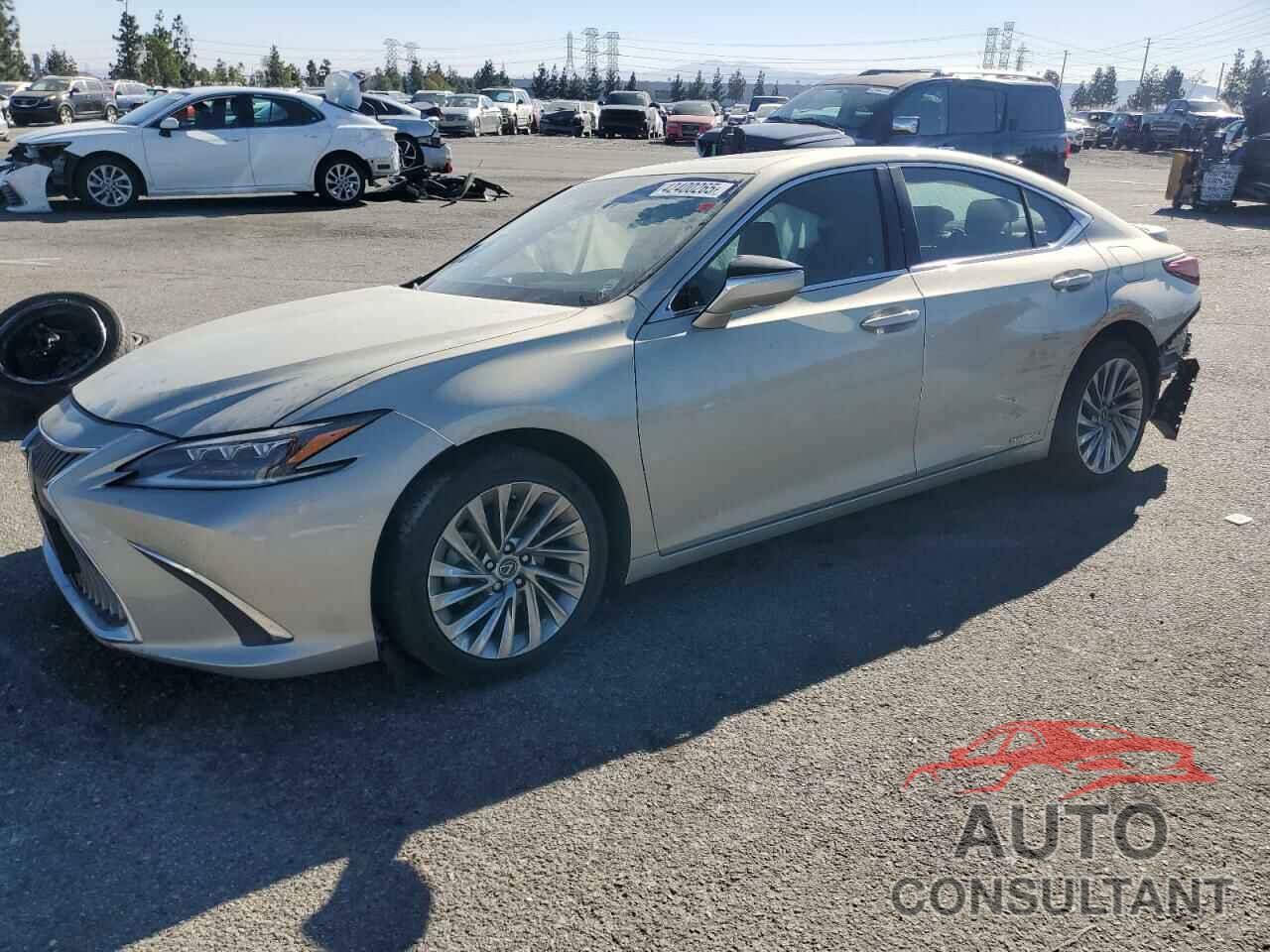 LEXUS ES300 2021 - 58AEA1C12MU012358