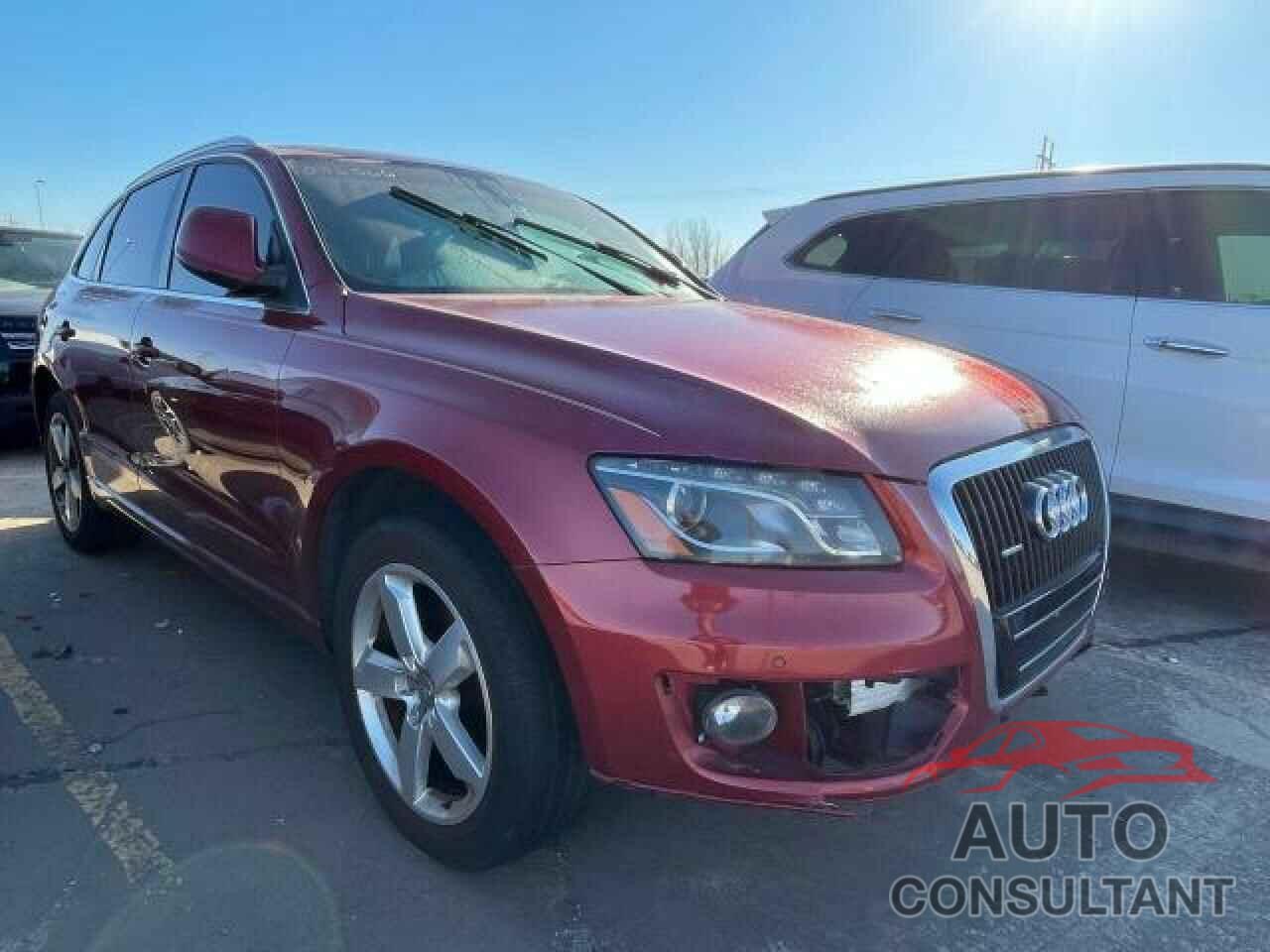 AUDI Q5 2010 - WA1LKAFP3AA092566