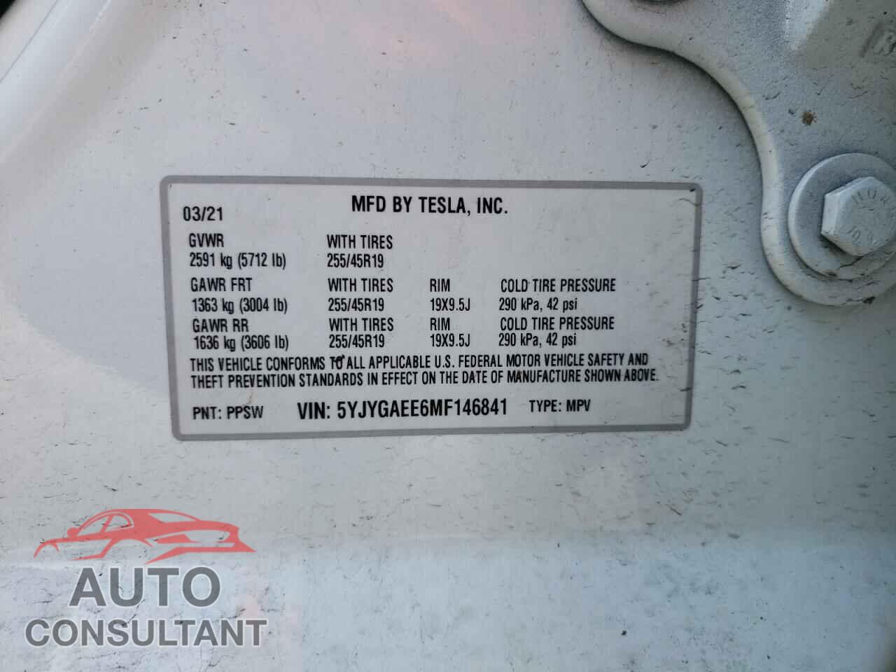 TESLA MODEL Y 2021 - 5YJYGAEE6MF146841