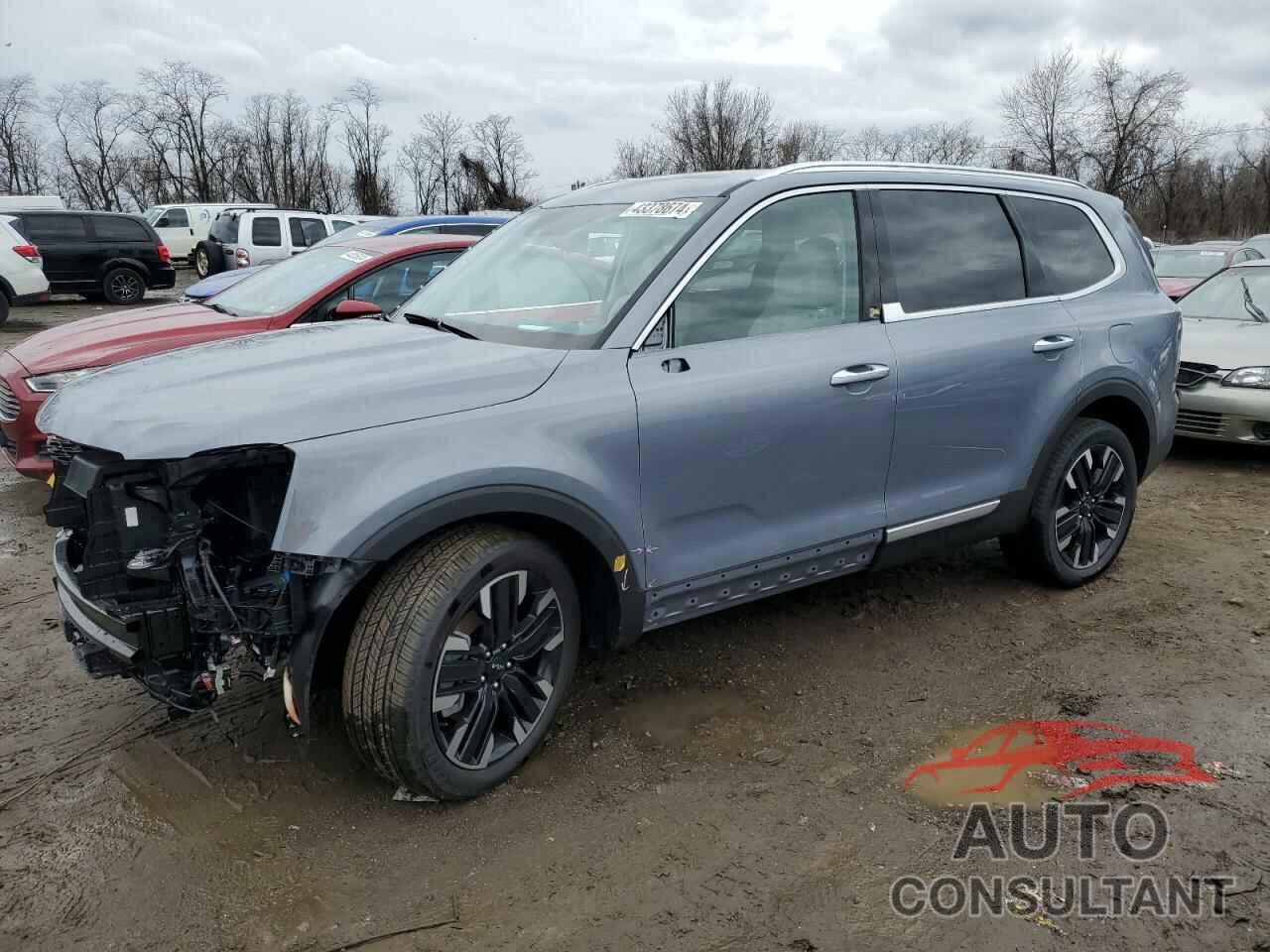 KIA TELLURIDE 2024 - 5XYP5DGC8RG464863