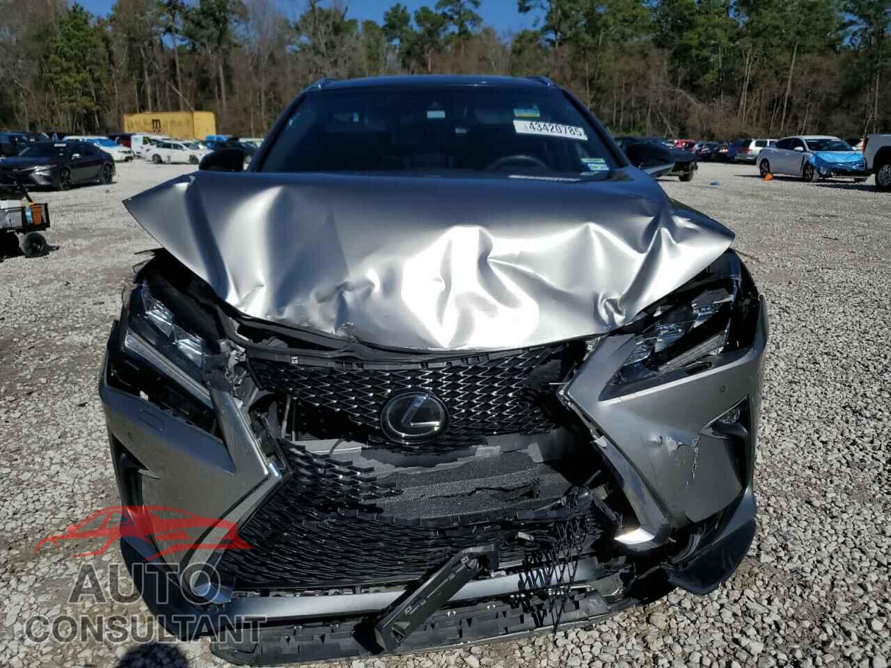 LEXUS RX350 2019 - 2T2BZMCA8KC191259