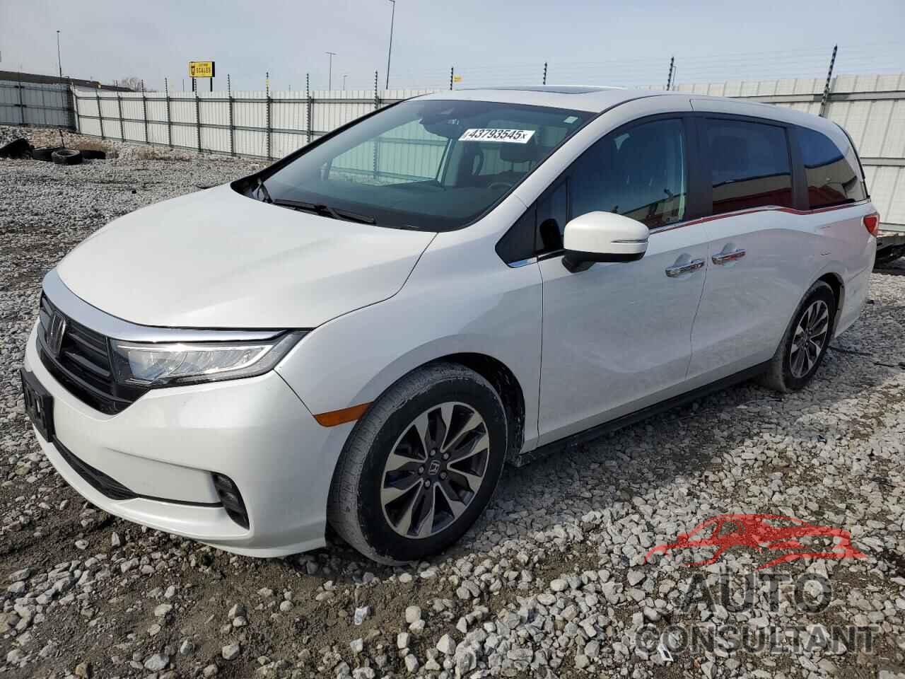 HONDA All Models 2023 - 5FNRL6H69PB056024