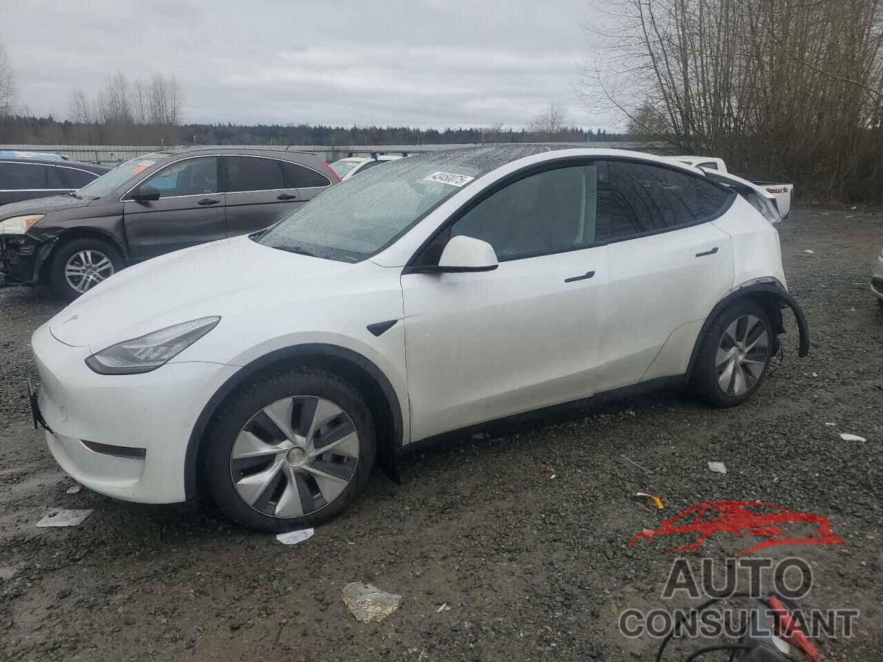 TESLA MODEL Y 2022 - 7SAYGDEE5NF356076