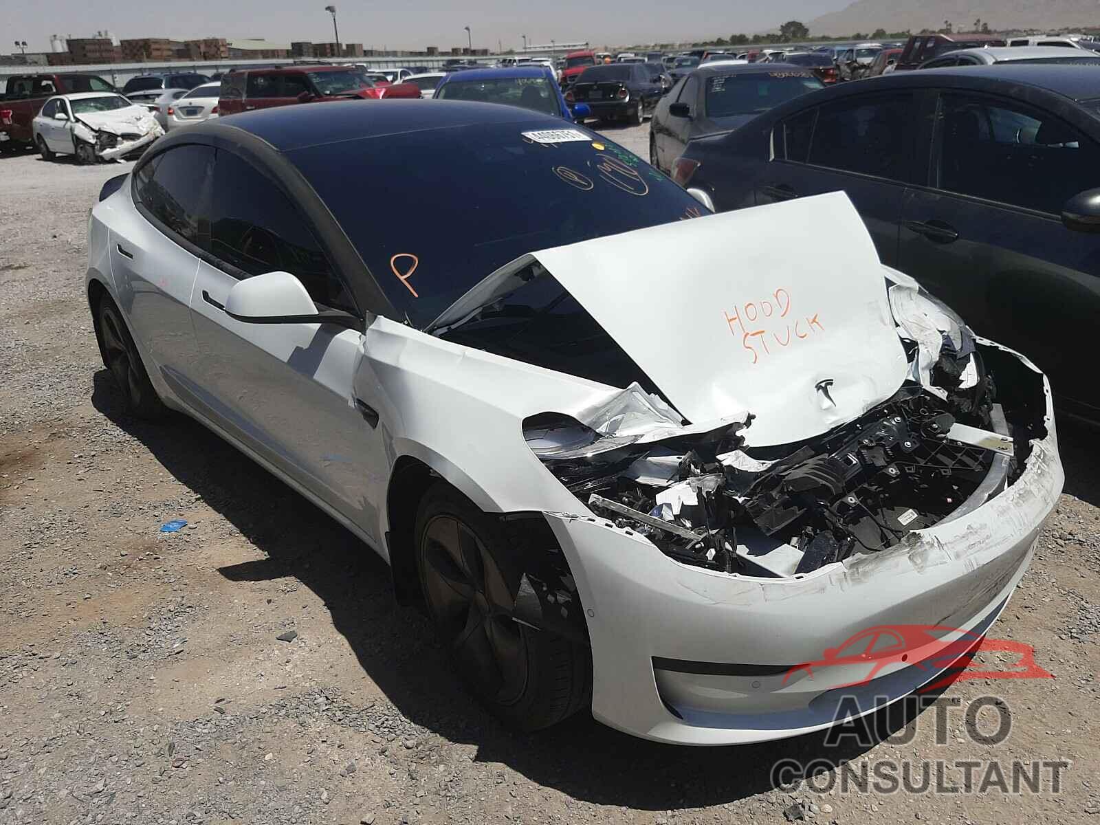 TESLA MODEL 3 2019 - 5YJ3E1EB5KF510475