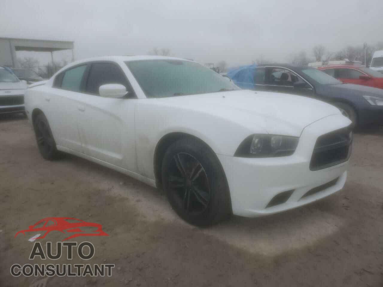 DODGE CHARGER 2014 - 2C3CDXDT5EH354411