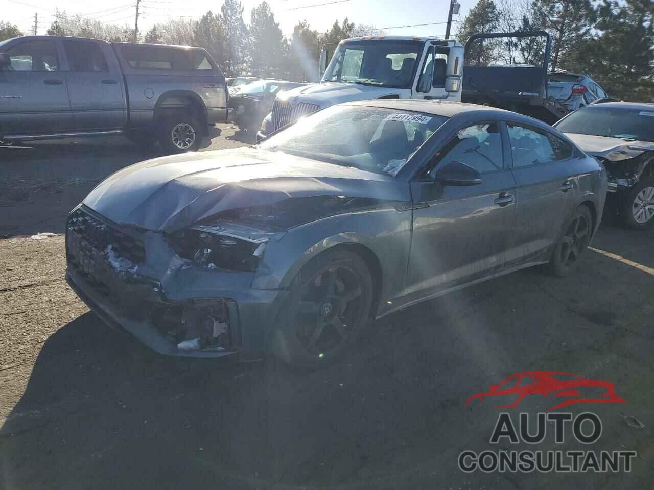 AUDI S5/RS5 2023 - WAUC4CF54PA005306