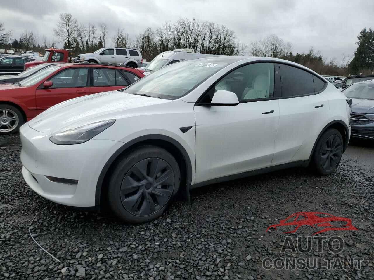 TESLA MODEL Y 2024 - 7SAYGDEE5RF115706