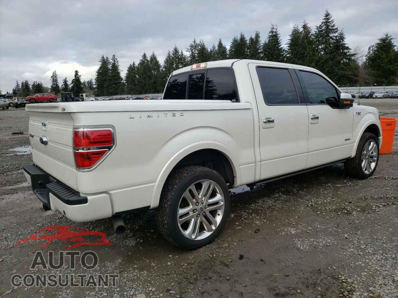 FORD F-150 2013 - 1FTFW1ET2DFD56261
