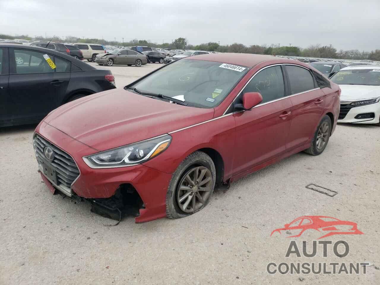 HYUNDAI SONATA 2019 - 5NPE24AF9KH787191