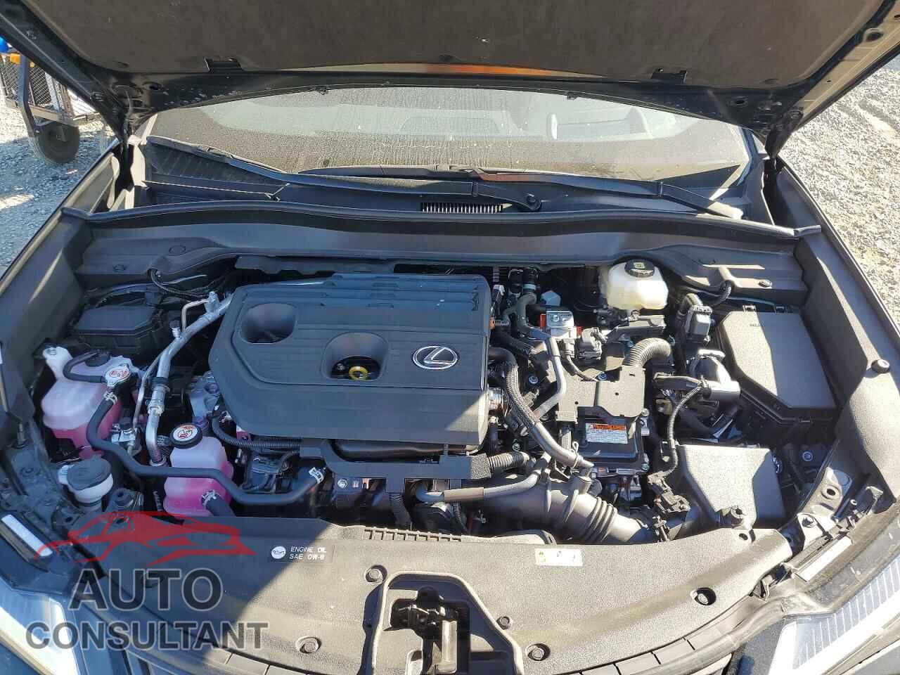 LEXUS UNKNOWN 2025 - JTHYBJAH7S2038015