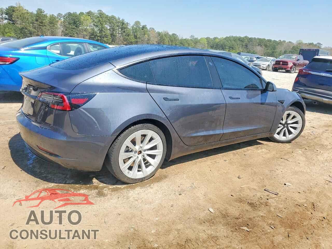 TESLA MODEL 3 2021 - 5YJ3E1EA3MF020840