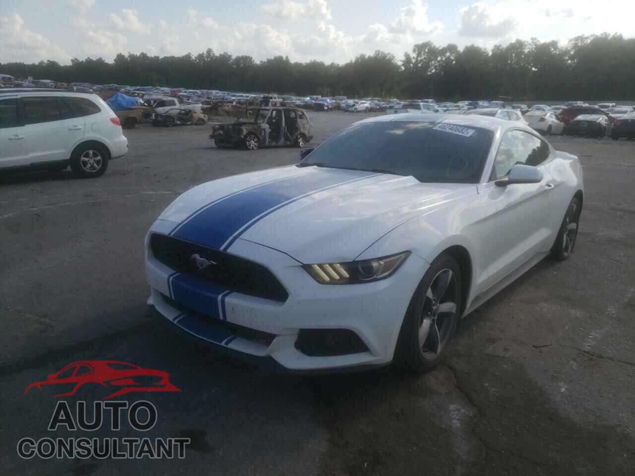 FORD MUSTANG 2016 - 1FA6P8TH3G5224307