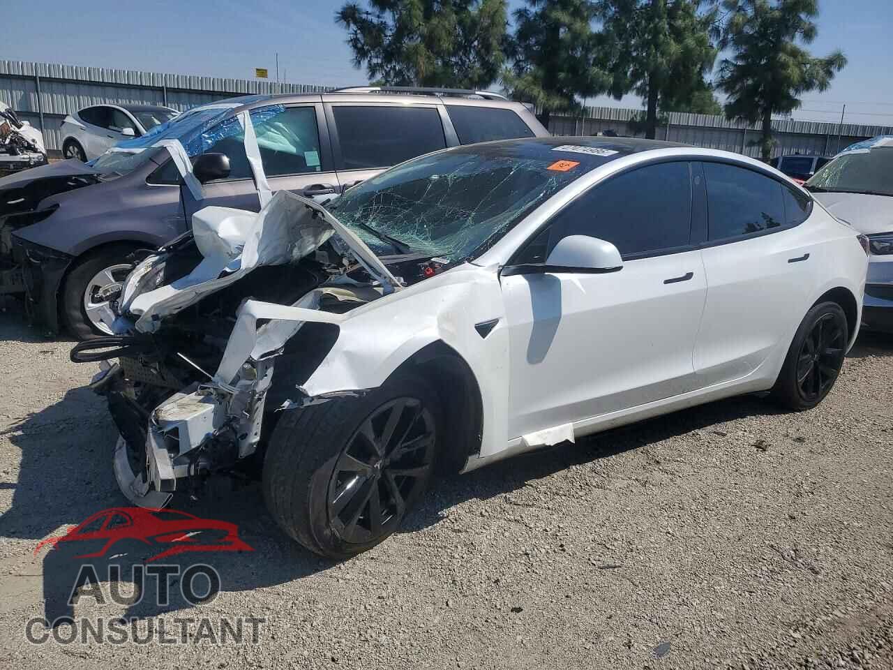 TESLA MODEL 3 2021 - 5YJ3E1EA6MF873572