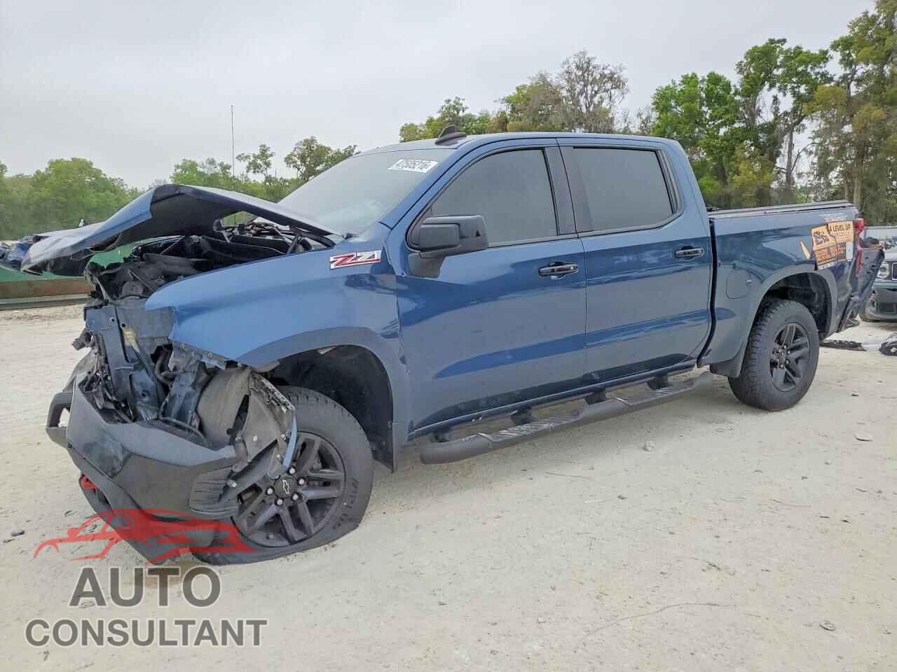 CHEVROLET SILVERADO 2019 - 1GCPYFED2KZ155444