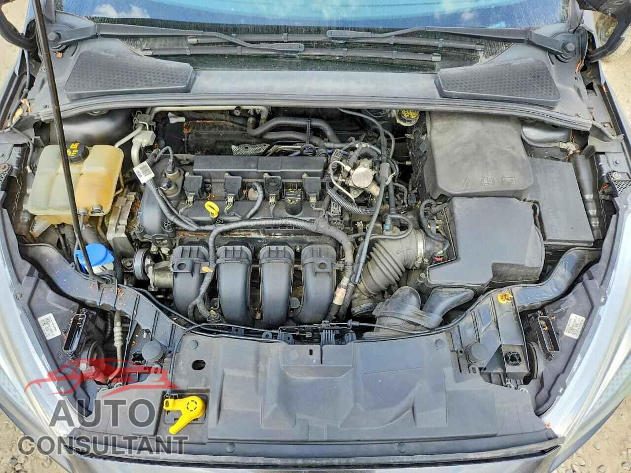FORD FOCUS 2016 - 1FADP3F27GL372666