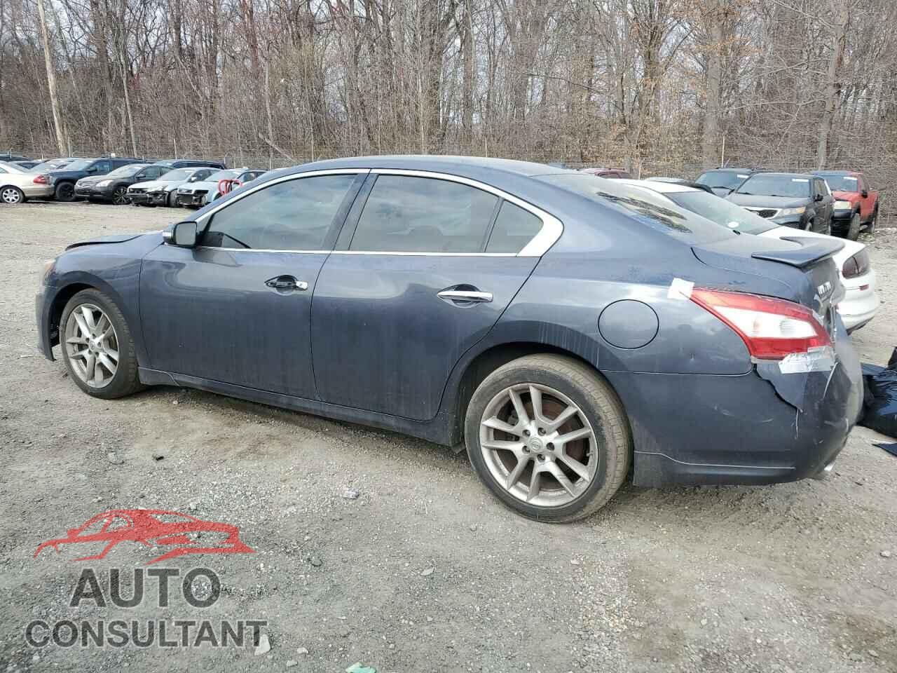 NISSAN MAXIMA 2010 - 1N4AA5AP1AC830003