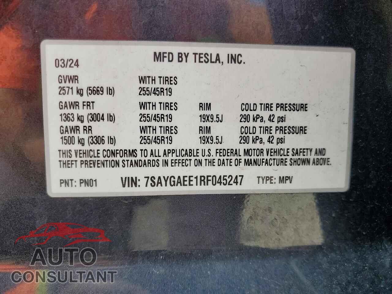 TESLA MODEL Y 2024 - 7SAYGAEE1RF045247
