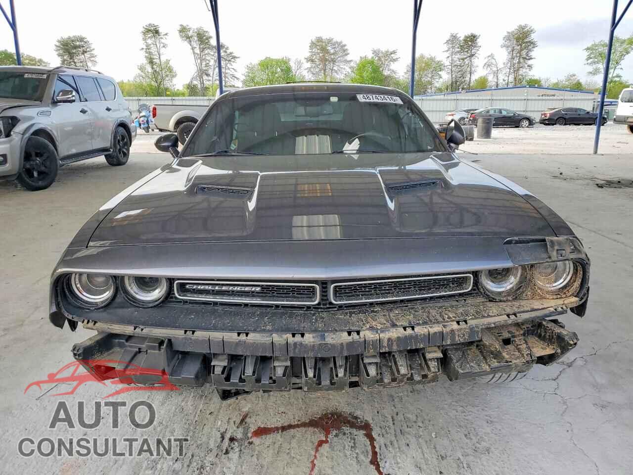 DODGE CHALLENGER 2019 - 2C3CDZAG7KH733683