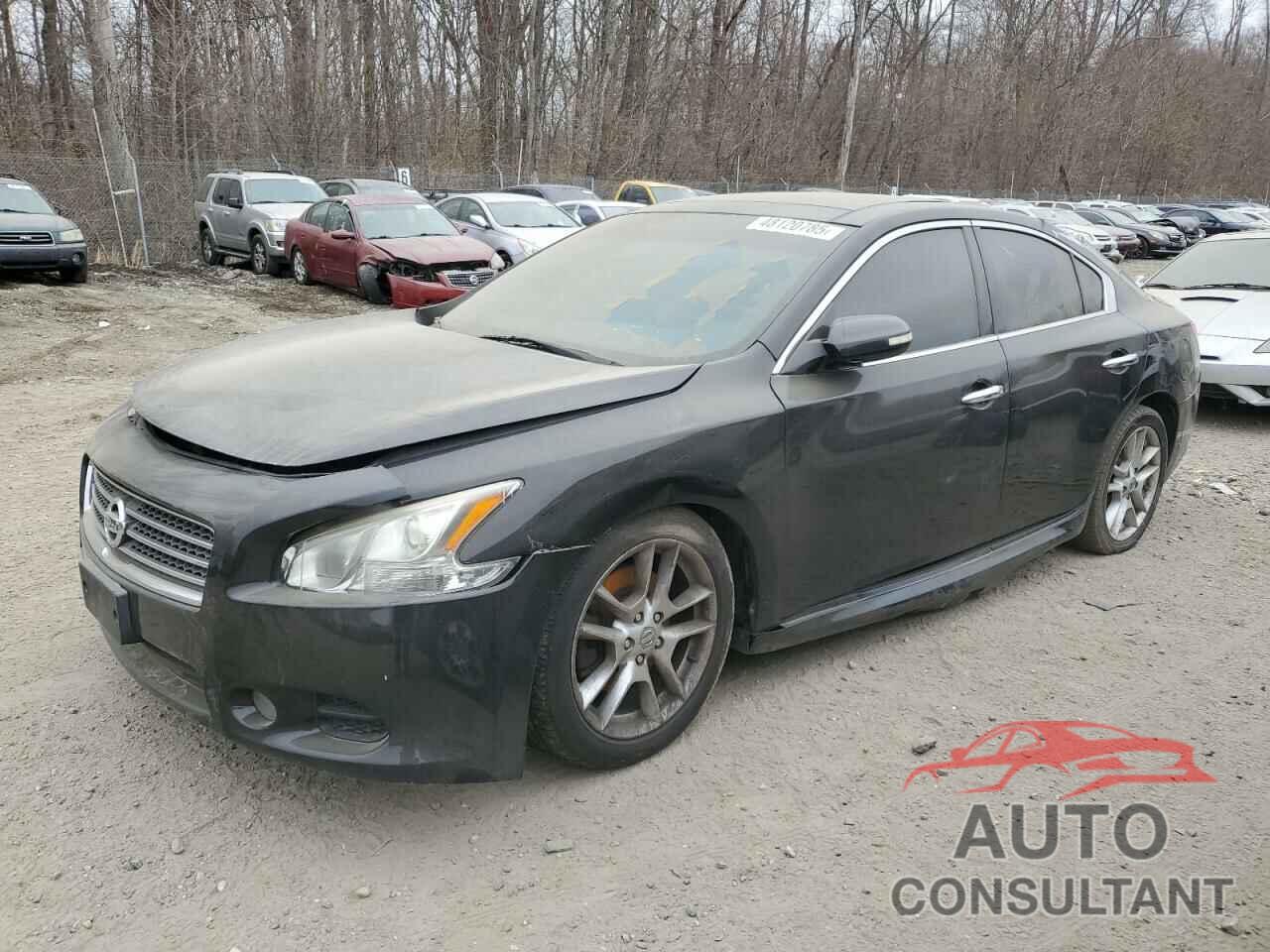 NISSAN MAXIMA 2009 - 1N4AA51E99C807997