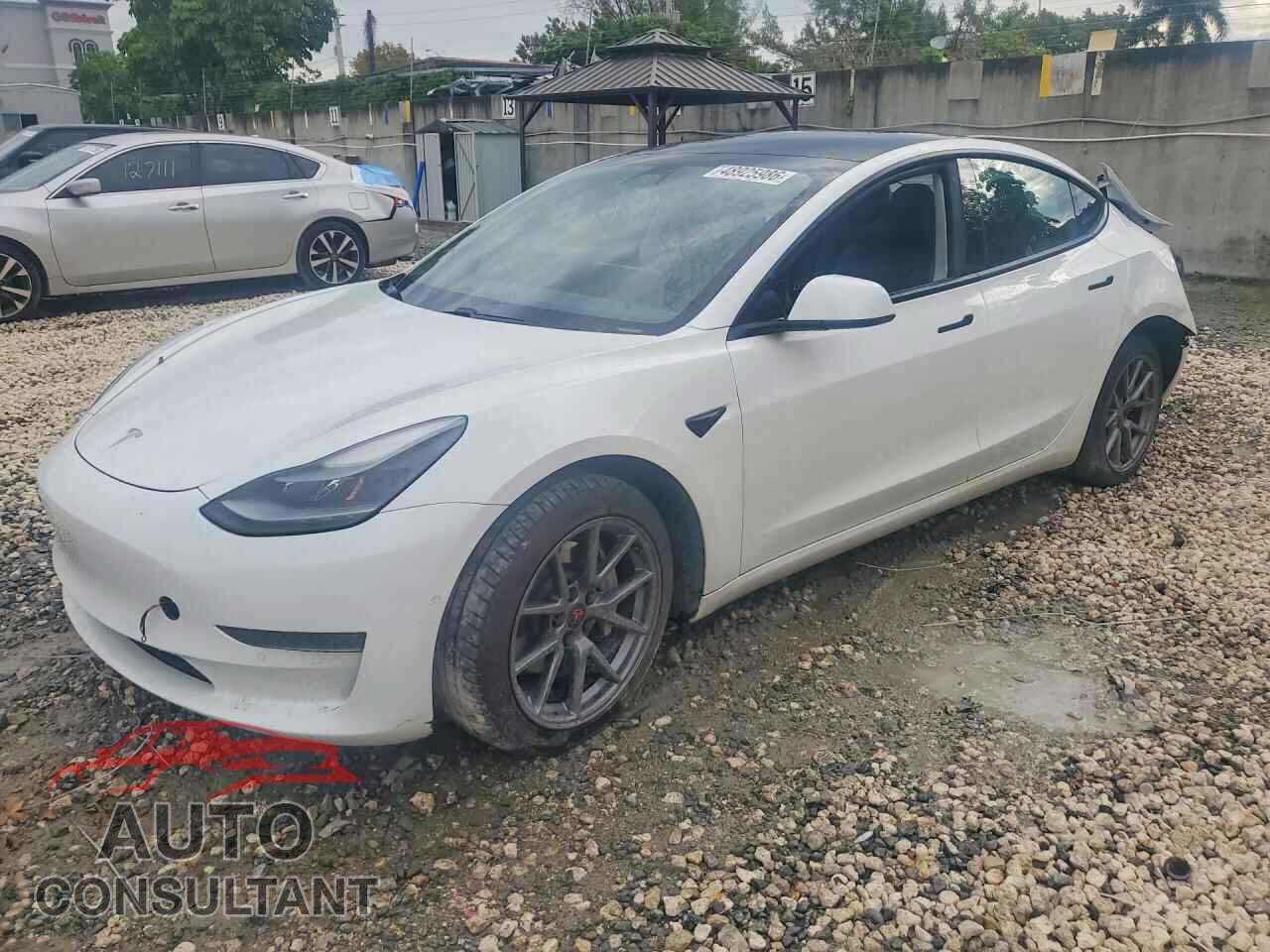 TESLA MODEL 3 2021 - 5YJ3E1EAXMF083532
