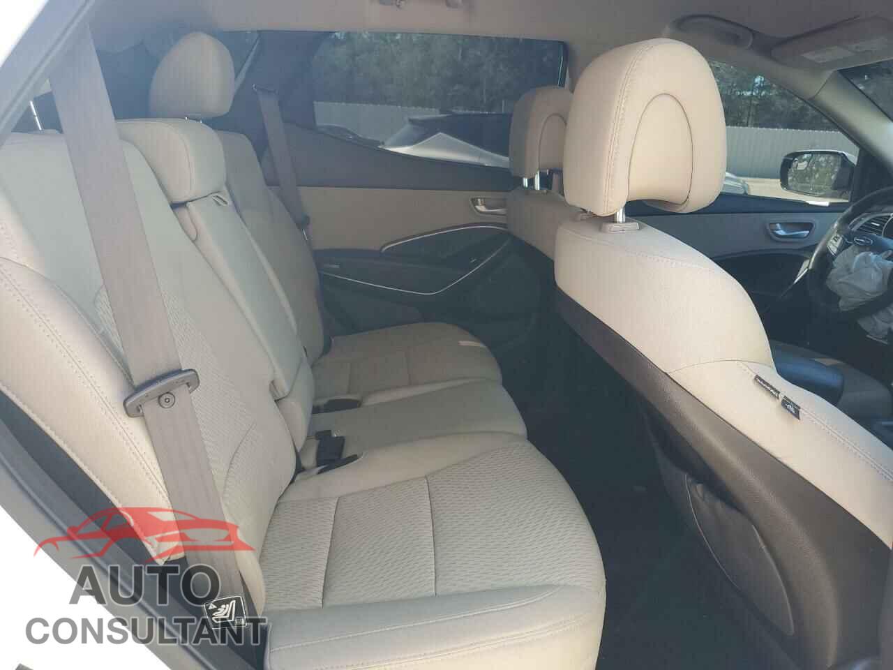 HYUNDAI SANTA FE 2017 - 5NMZU3LB6HH018265