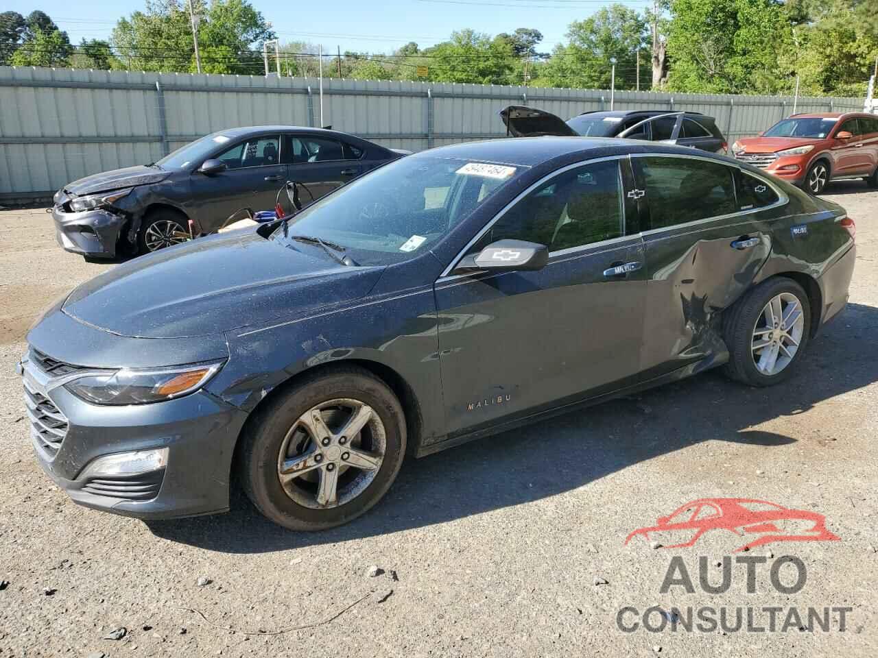 CHEVROLET MALIBU 2019 - 1G1ZB5ST7KF217320