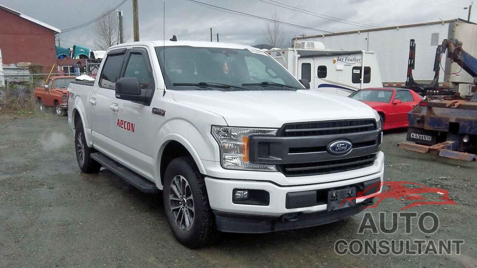 FORD F-150 2019 - 1FTEW1E44KFC36592