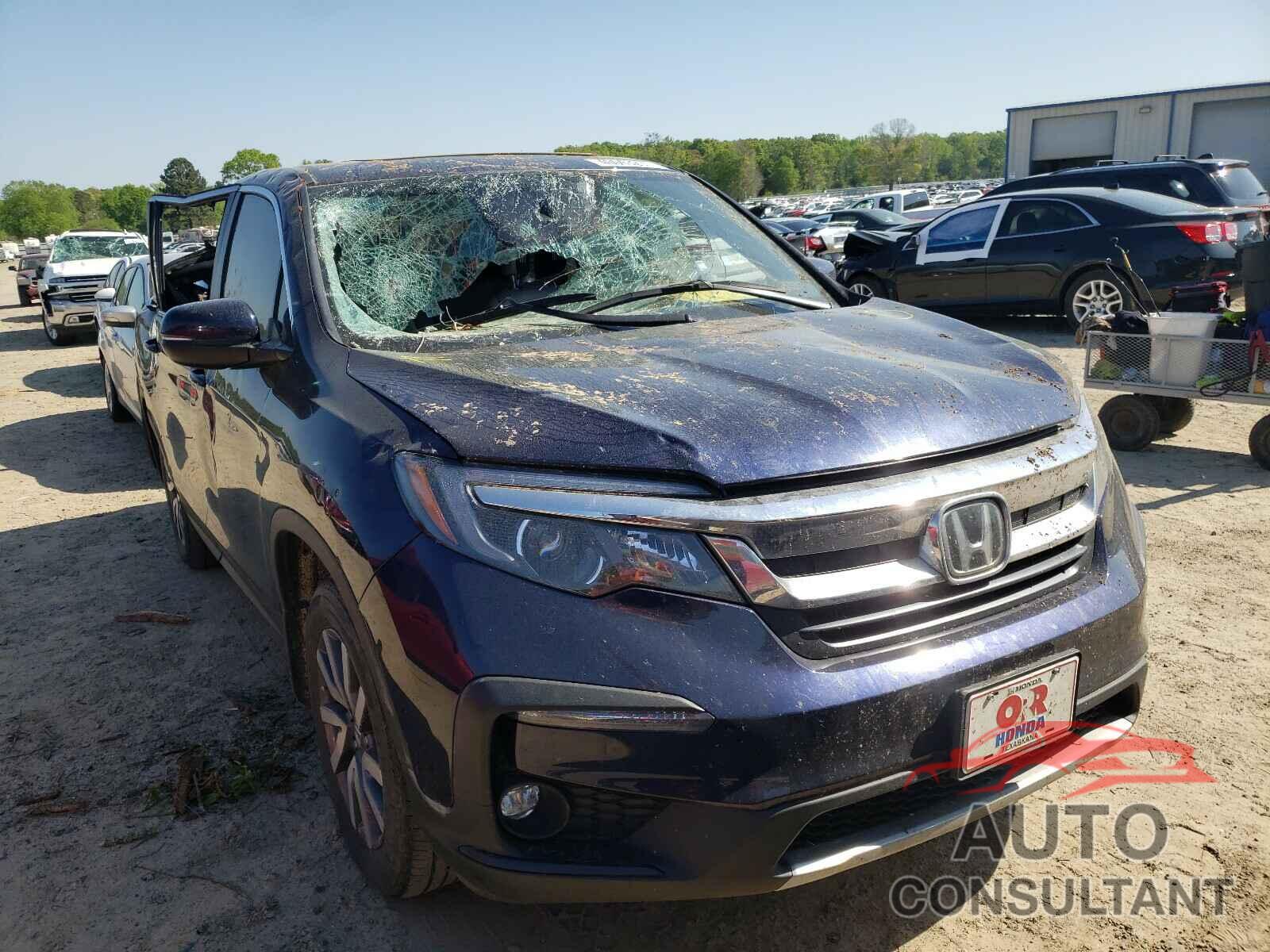 HONDA PILOT 2019 - 5FNYF5H46KB022949