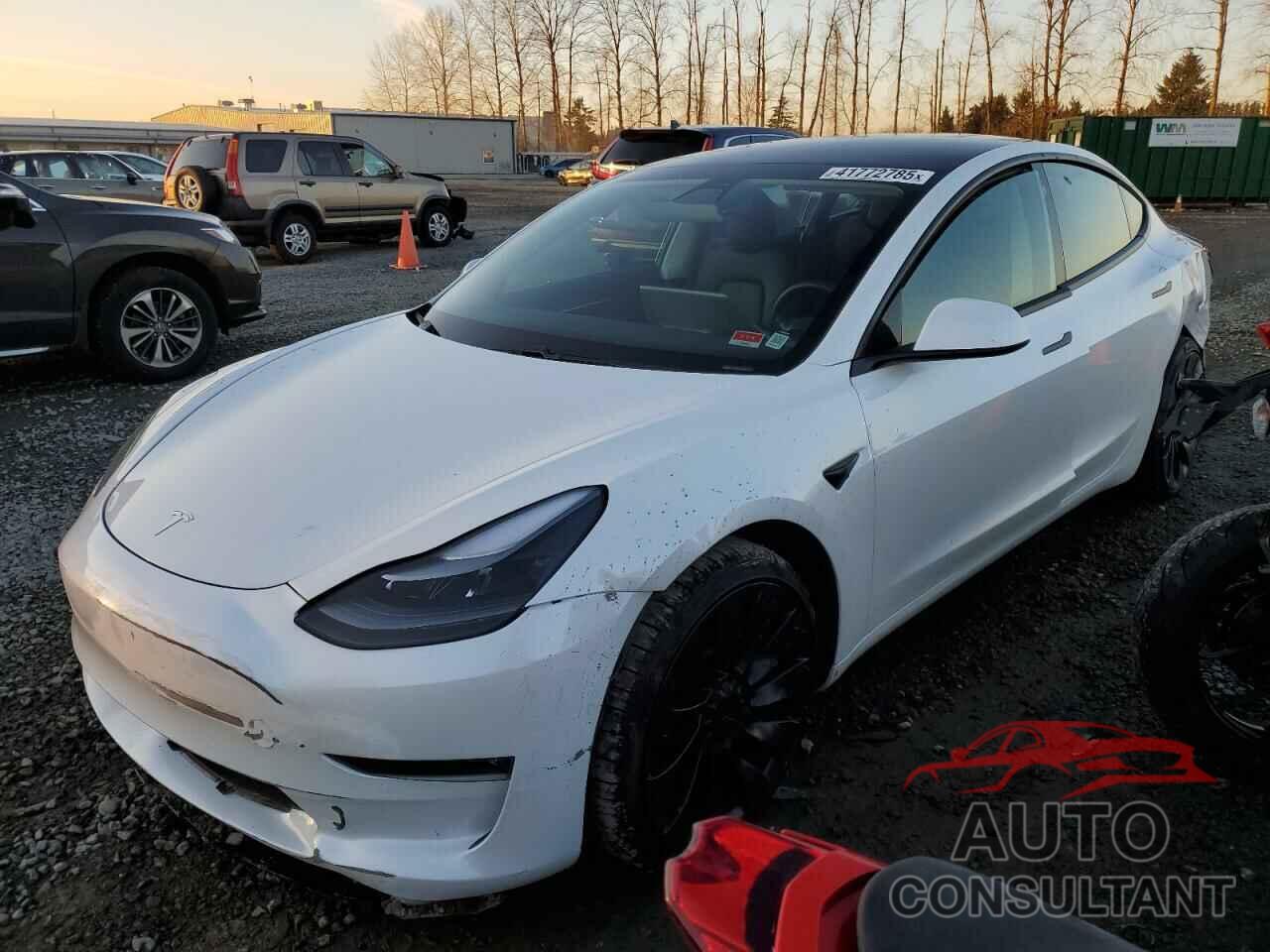 TESLA MODEL 3 2021 - 5YJ3E1EC9MF064794