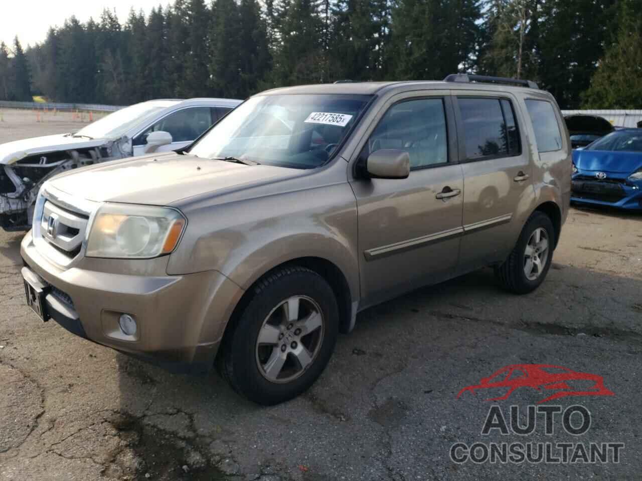 HONDA PILOT 2009 - 5FNYF48409B031893