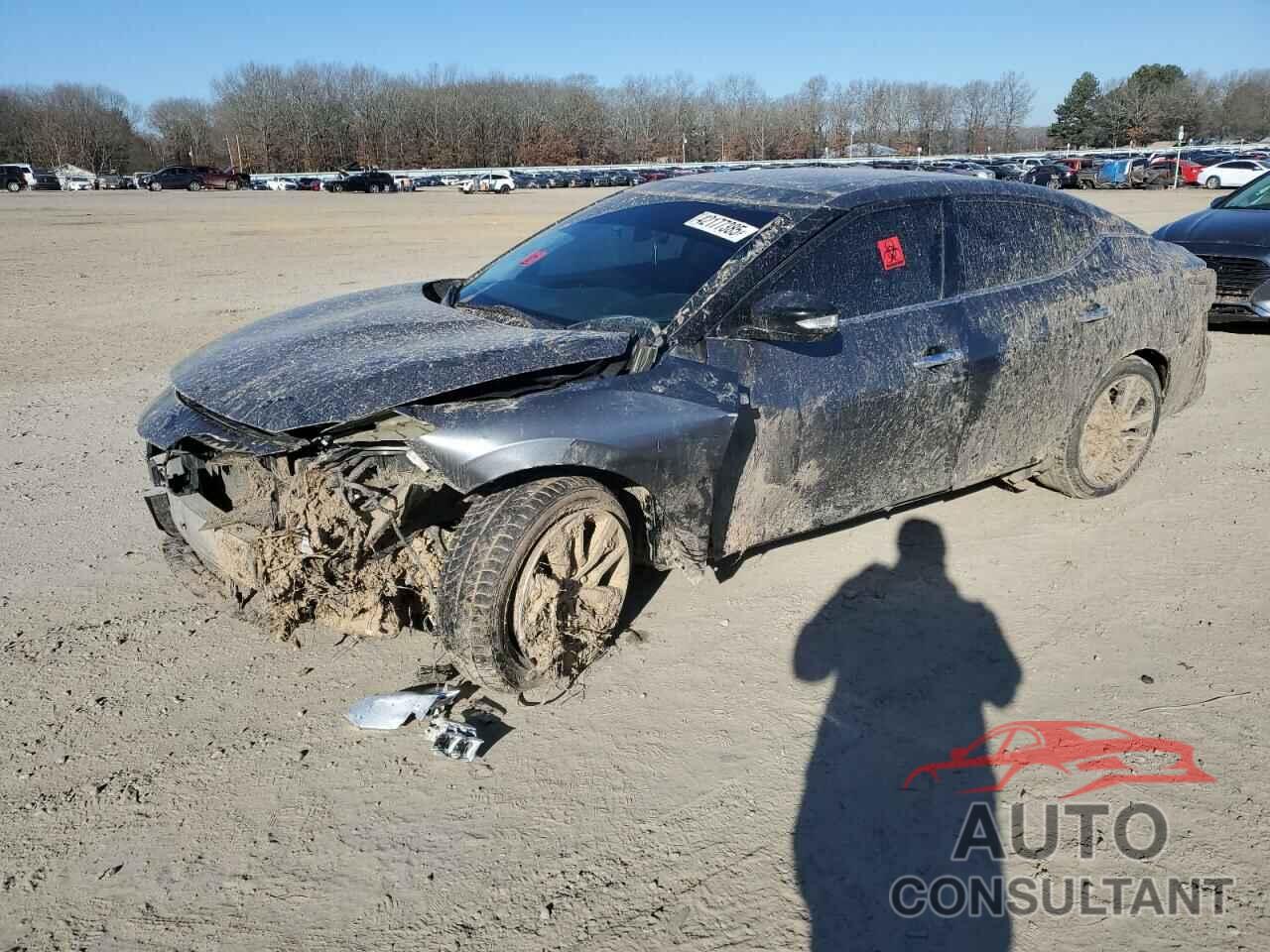 NISSAN MAXIMA 2019 - 1N4AA6AV4KC369191